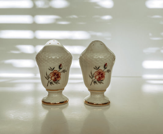 Vintage Porcelain Salt and Pepper Shakers