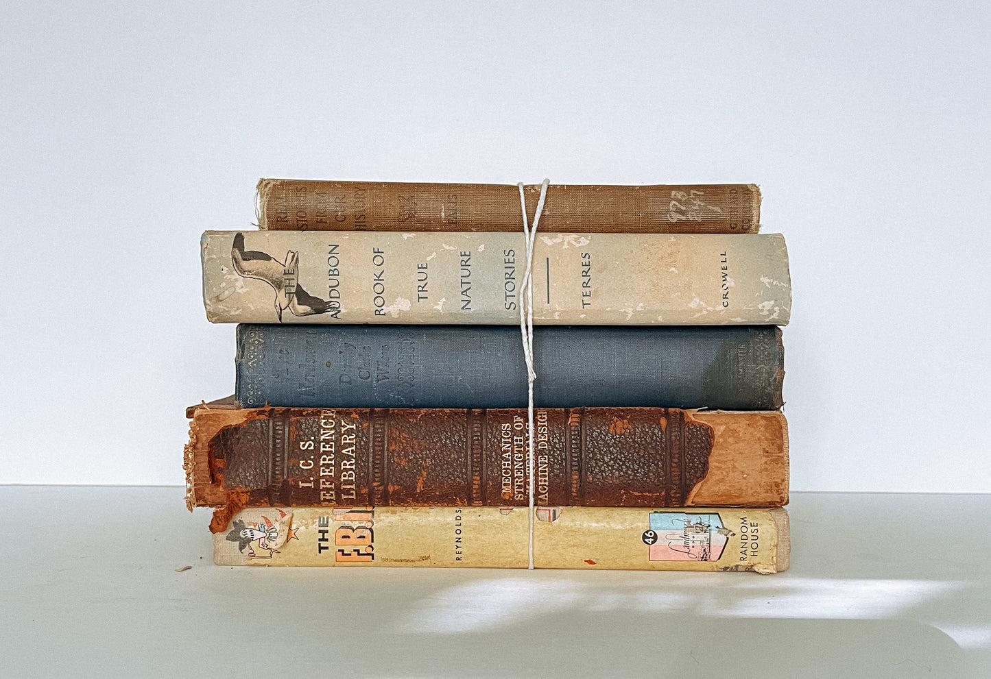 Book Bundle 2