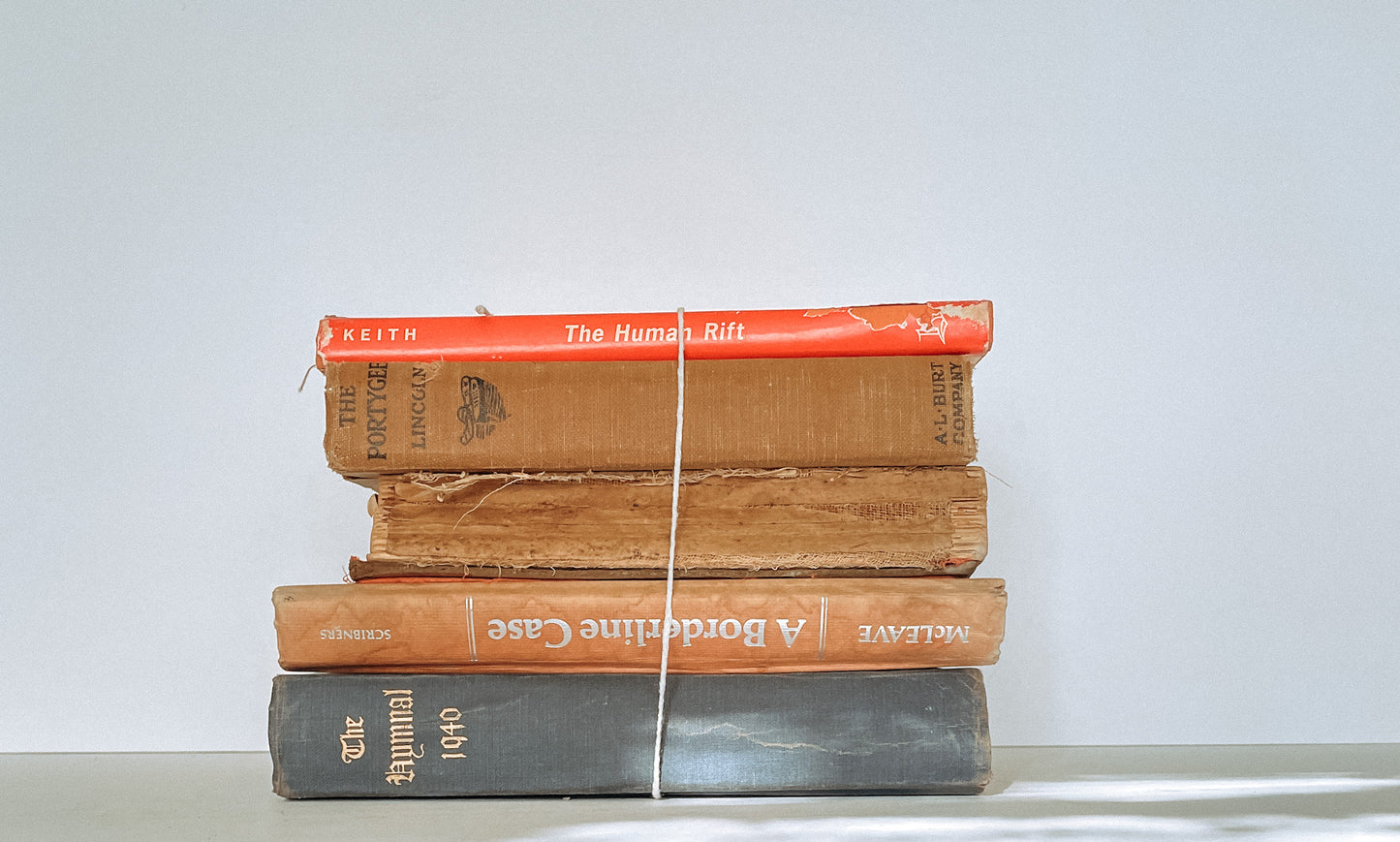 Book Bundle 12