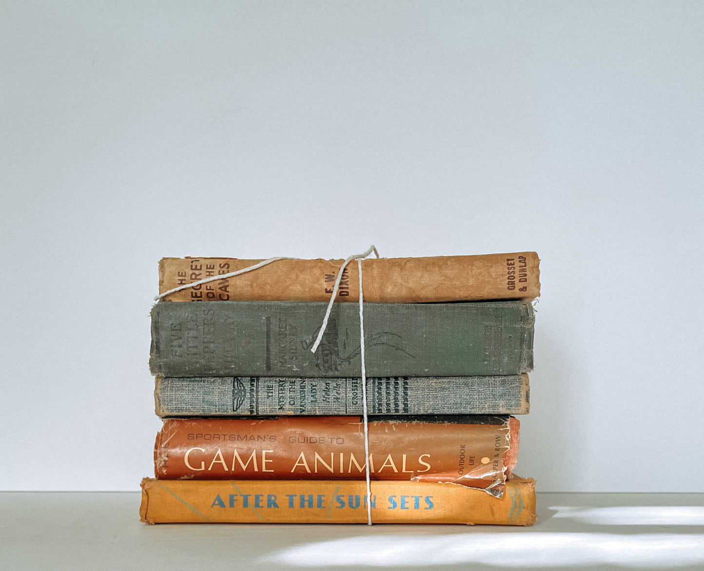 Book Bundle 10